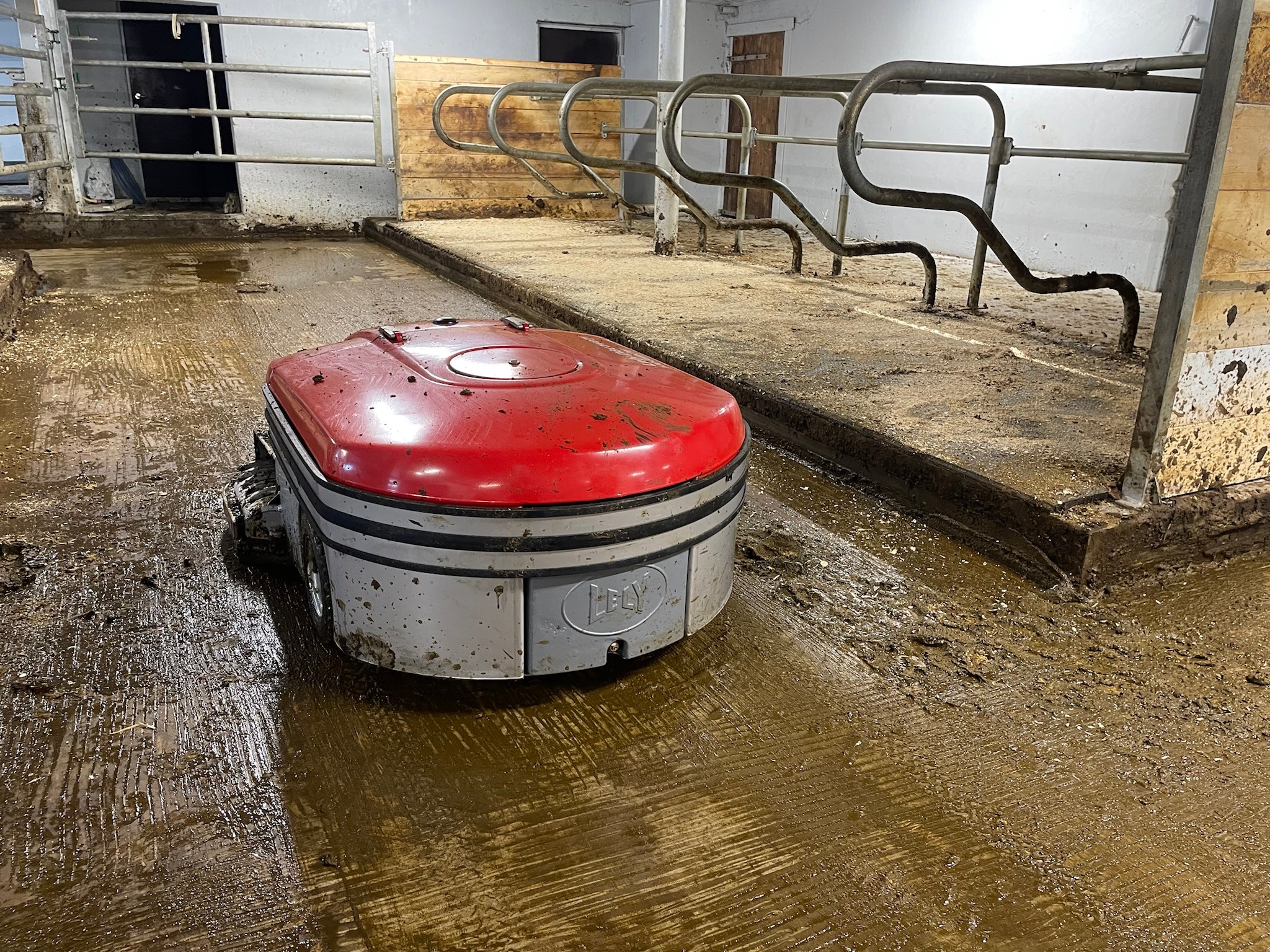 Ombygging til ammekufjøs