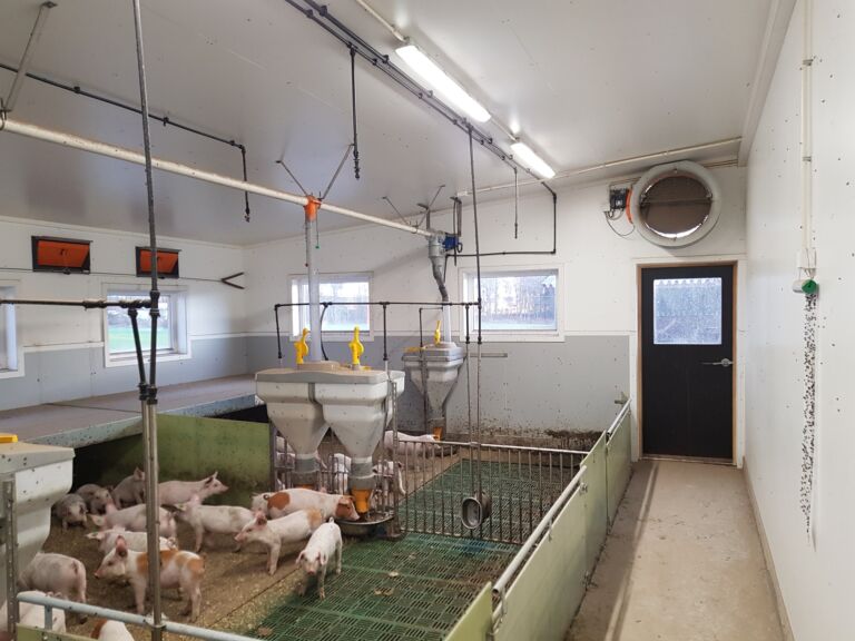 Påbygg på grisefjøs