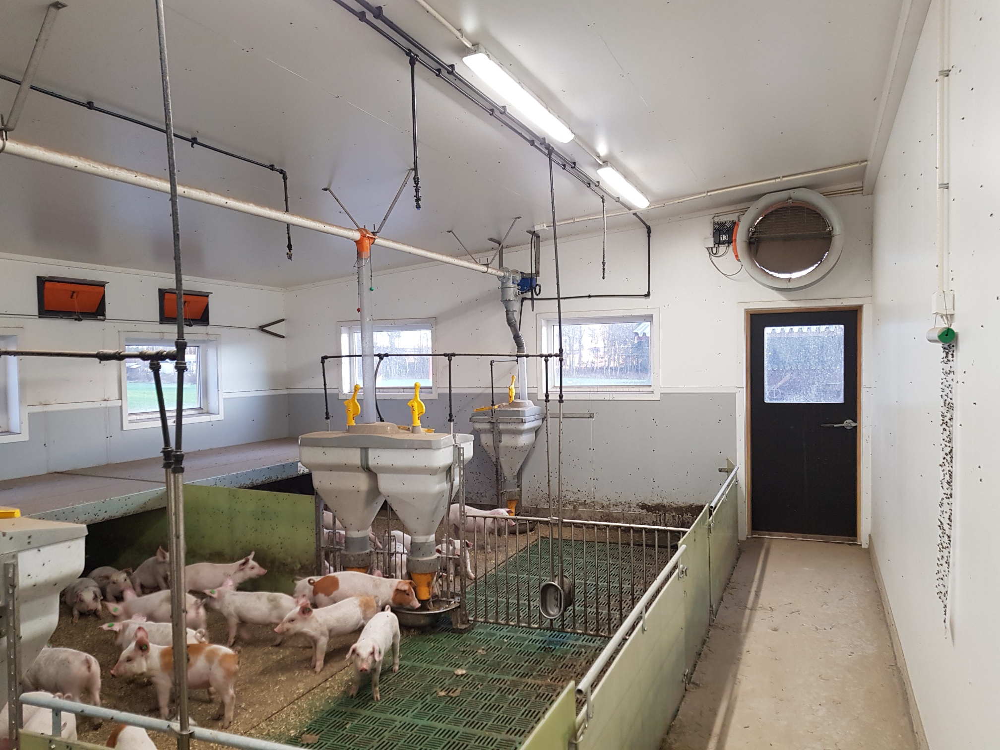 Påbygg på grisefjøs