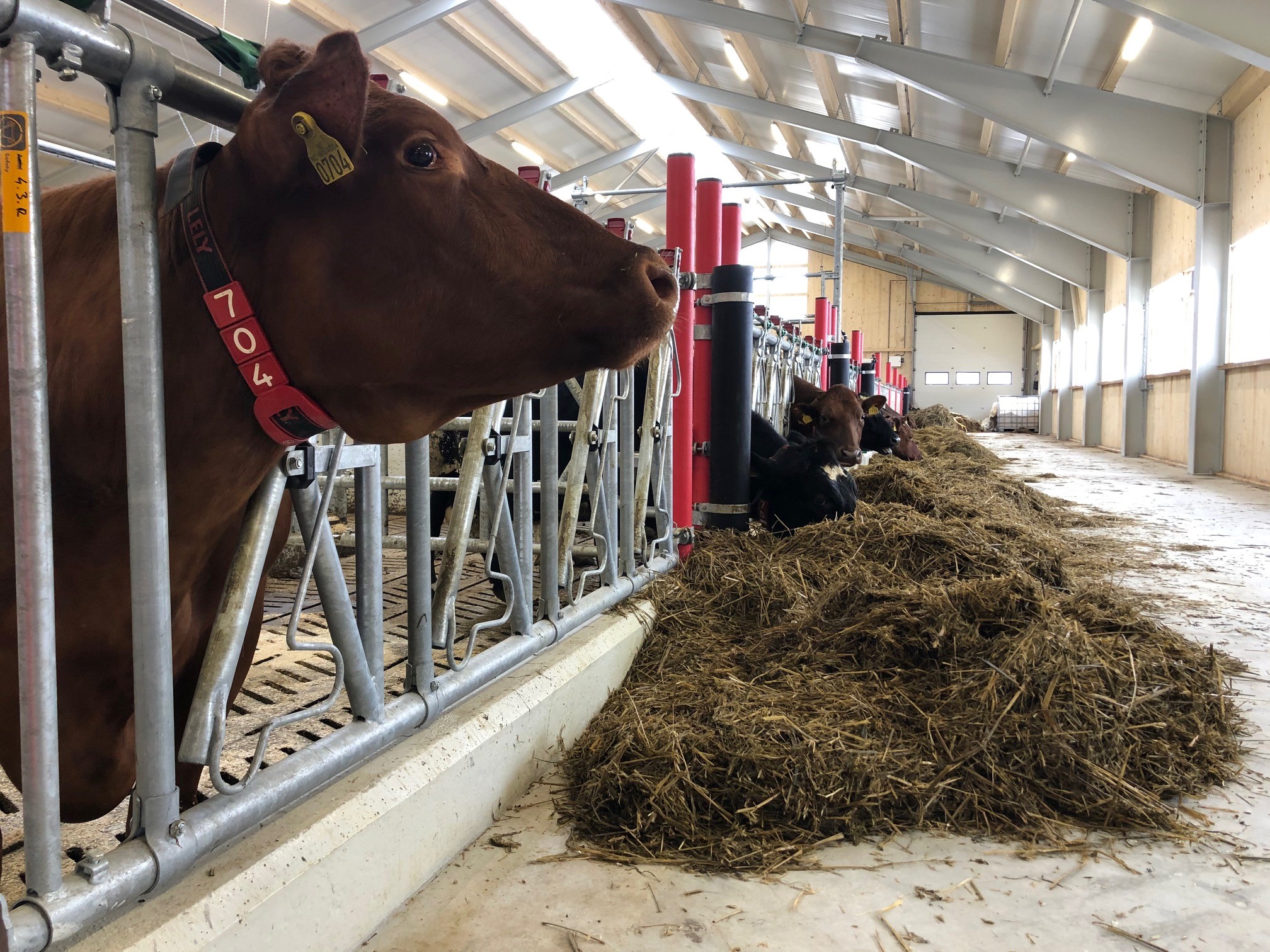 Ettårsbefaring hos Johnny Stolpnes