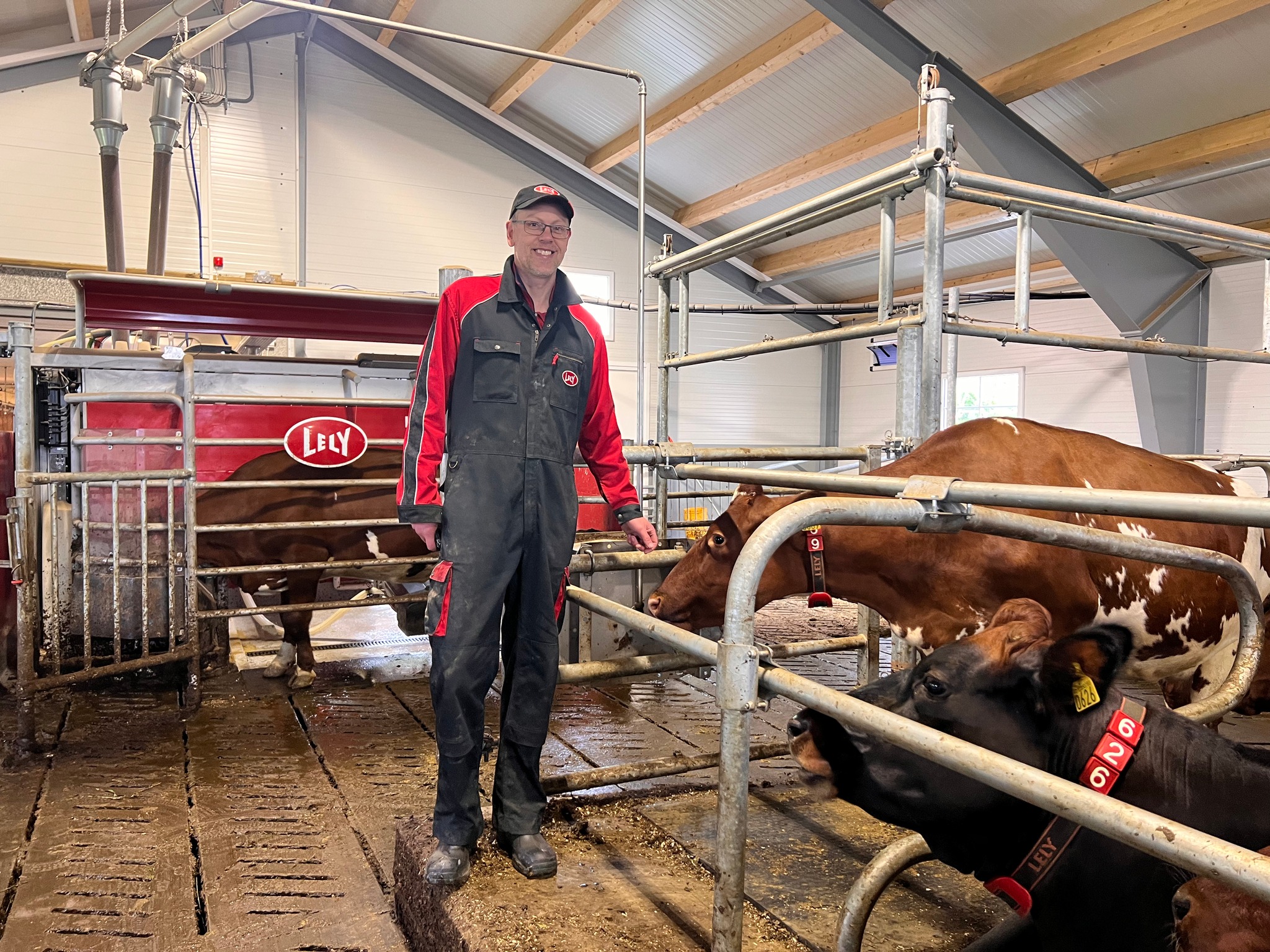 Storfe – total tilbyder av imek og fôring