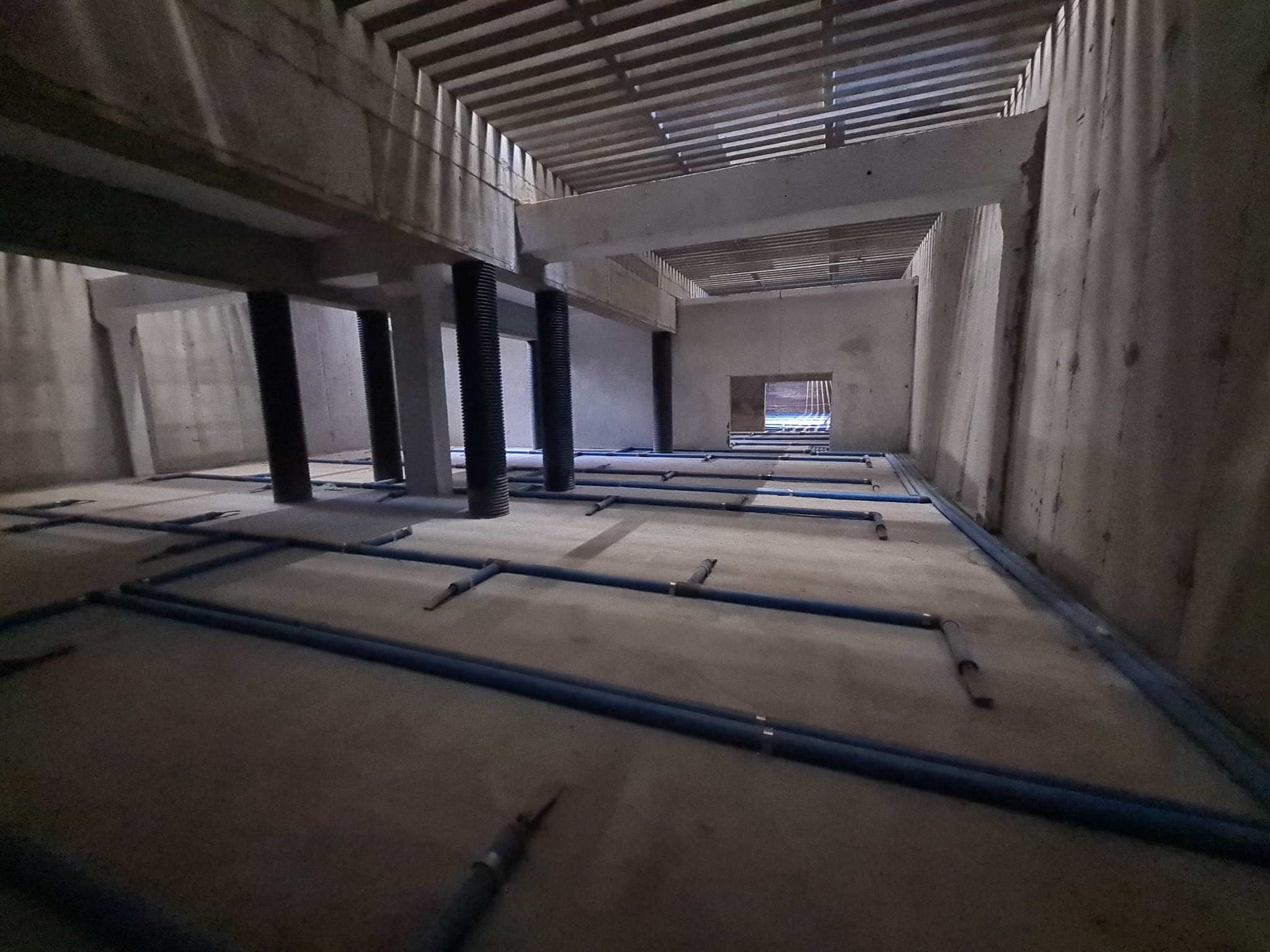 Fra drøm til virkelighet!