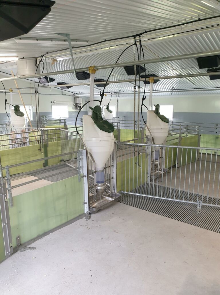 Totalrenovering av slaktegrishus