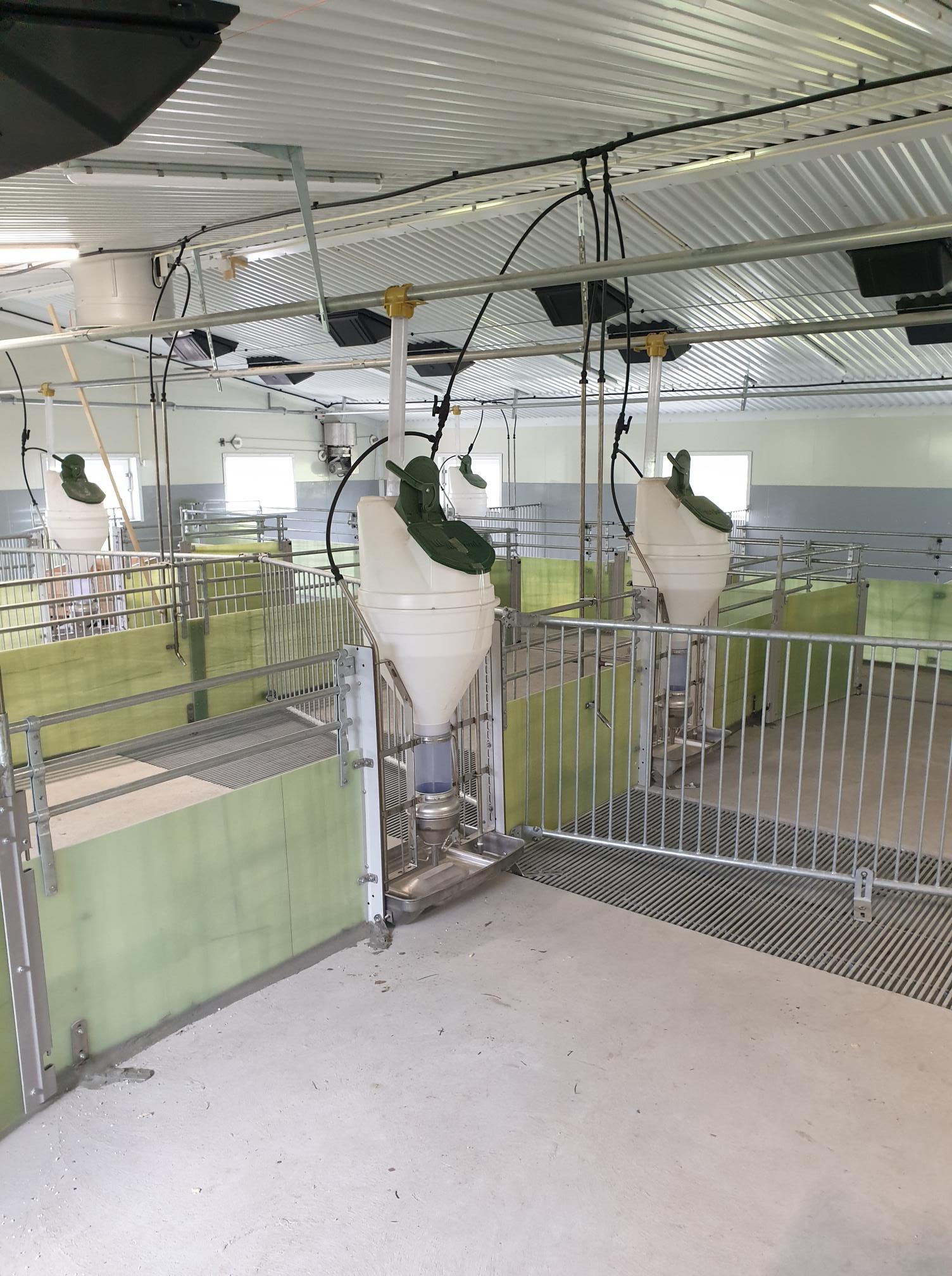 Totalrenovering av slaktegrishus