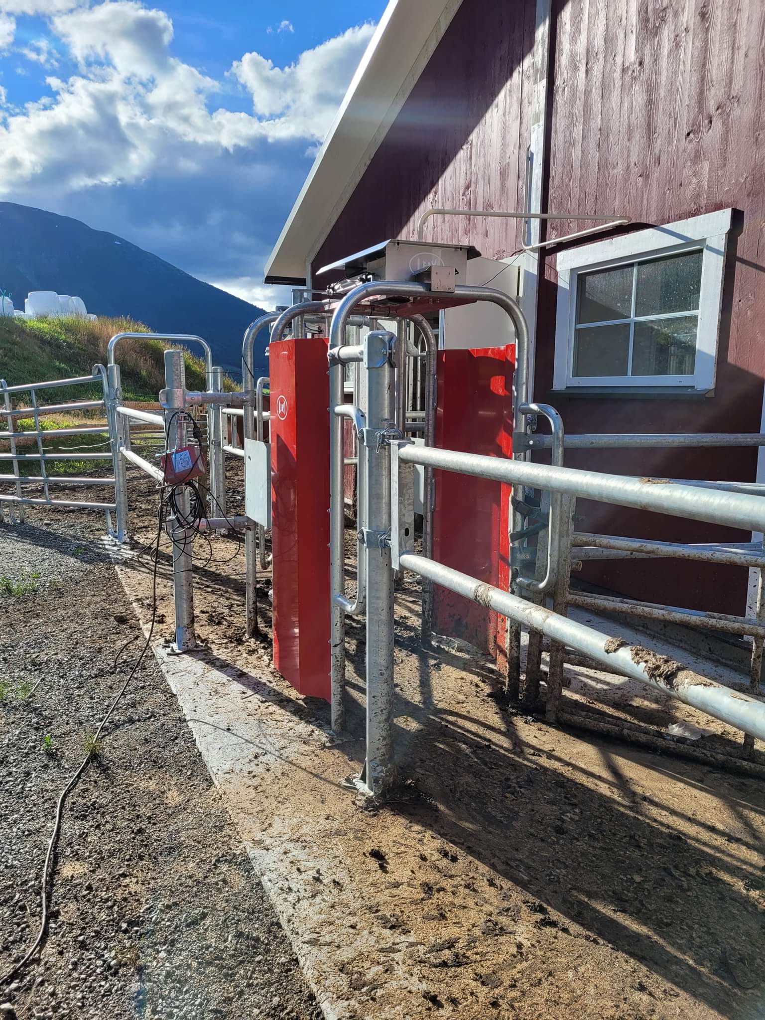 Dalende melkefrekvens og mange hente-kyr i robot løst