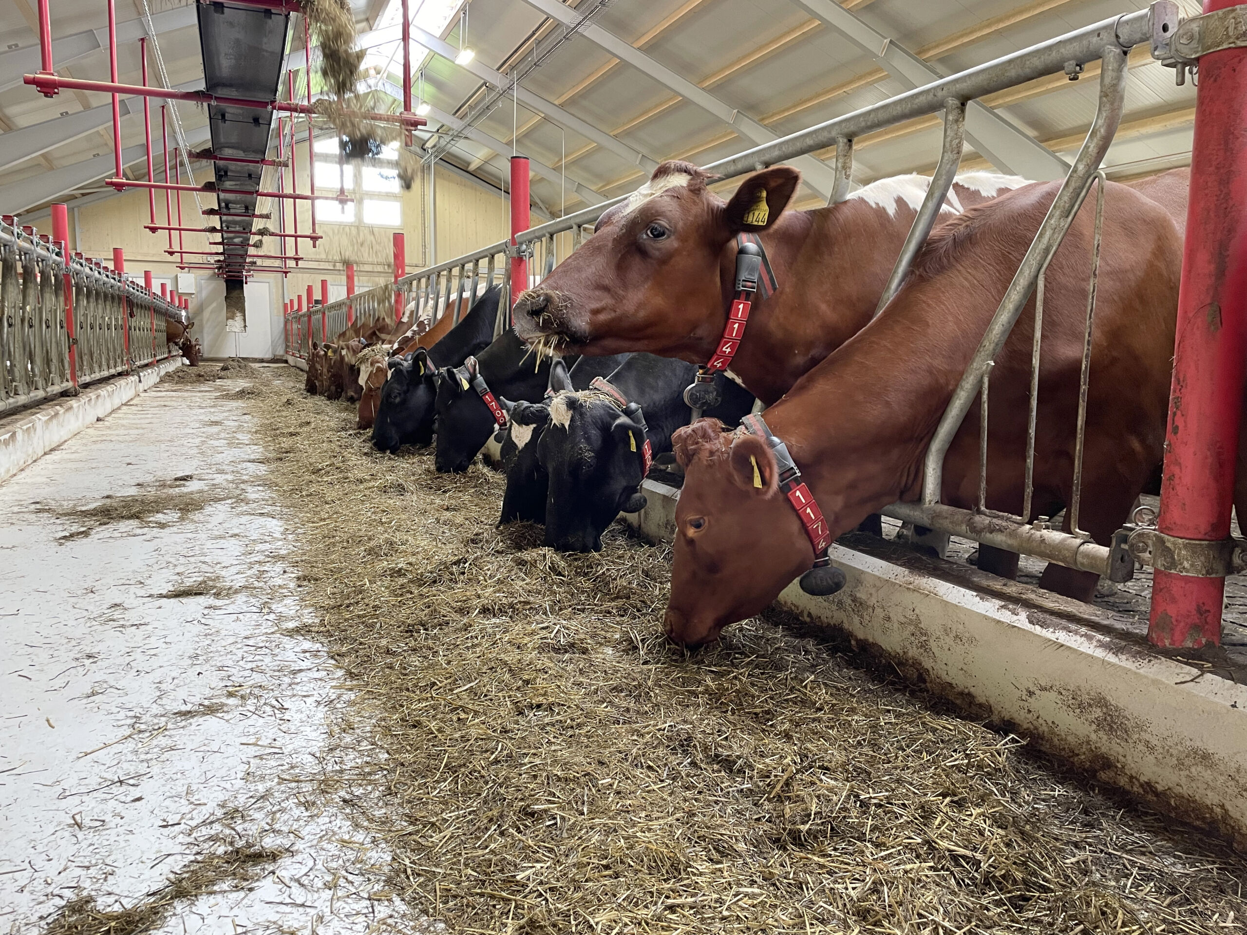 Bonden og dyrenes førstevalg