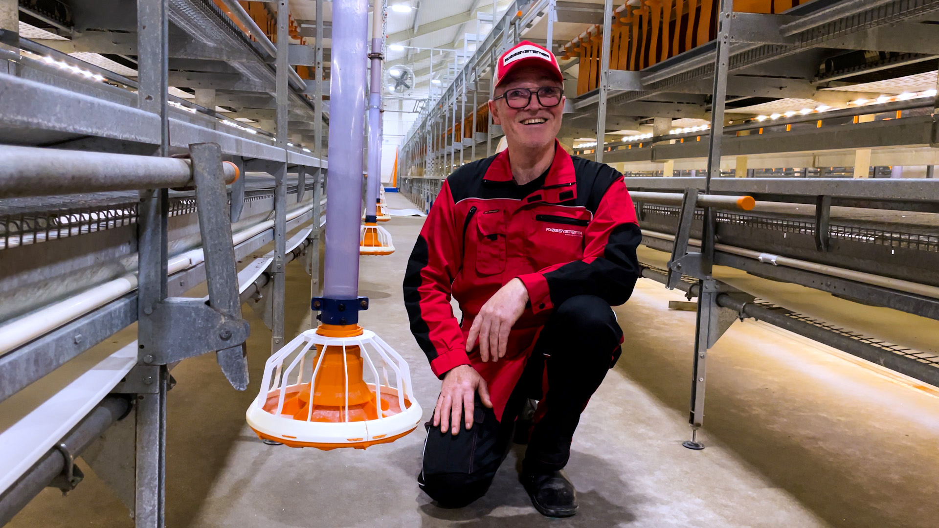 Storproduksjon av egg 