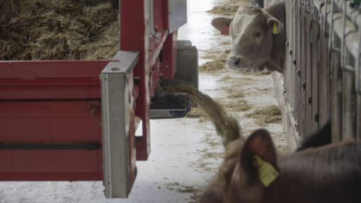 AutoFeeder AutoFeeder