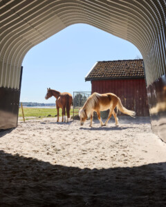 Buehall for hest. FURAB, 2025