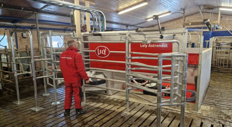 Ny melkerobot på Tynset Ny melkerobot på Tynset