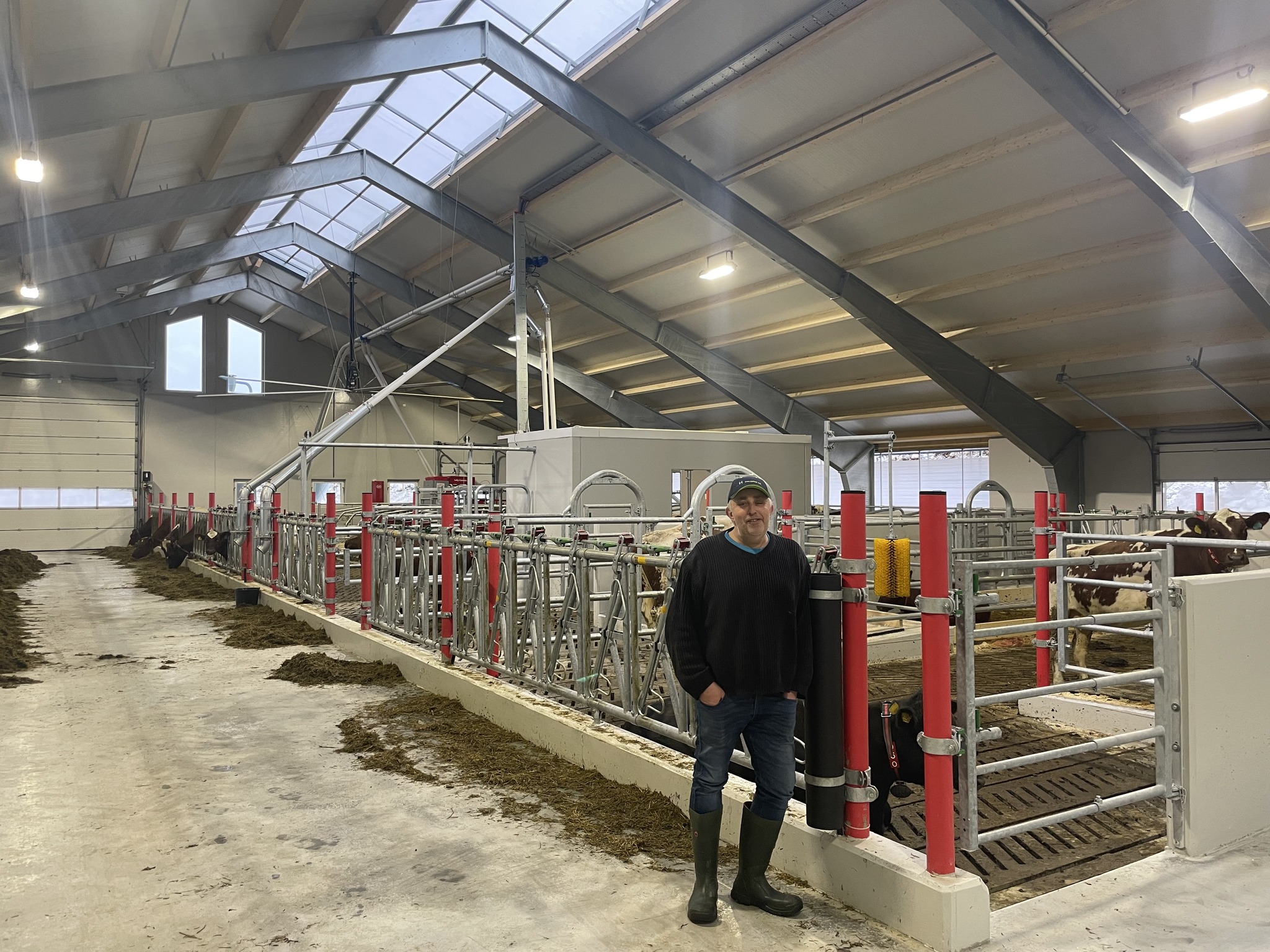 Nytt flott melkekufjøs