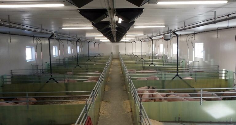 Utvidelse av slaktegrisfjøs