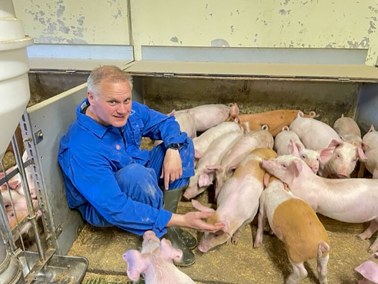 Svineproduksjon og grisens syklus fra A til Å Svineproduksjon og grisens syklus fra A til Å