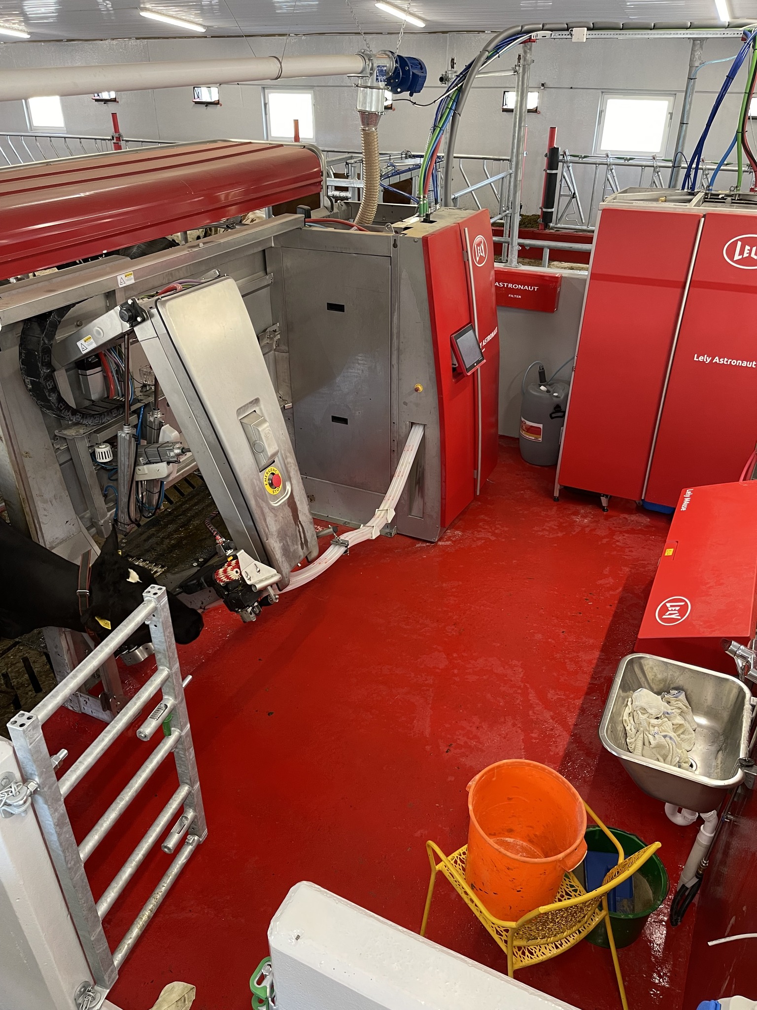 Nytt flott melkekufjøs