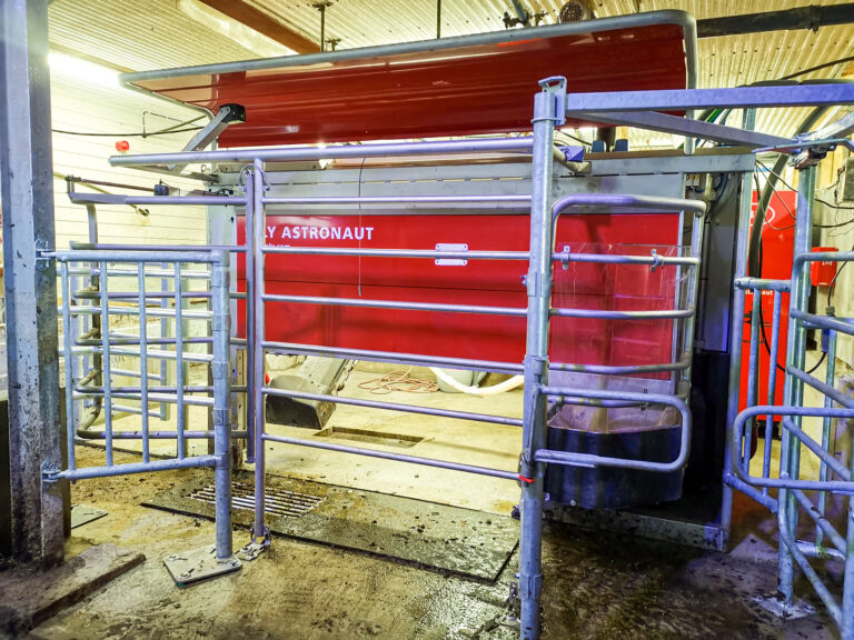 «Ny» Lely melkerobot i Tysvær «Ny» Lely melkerobot i Tysvær