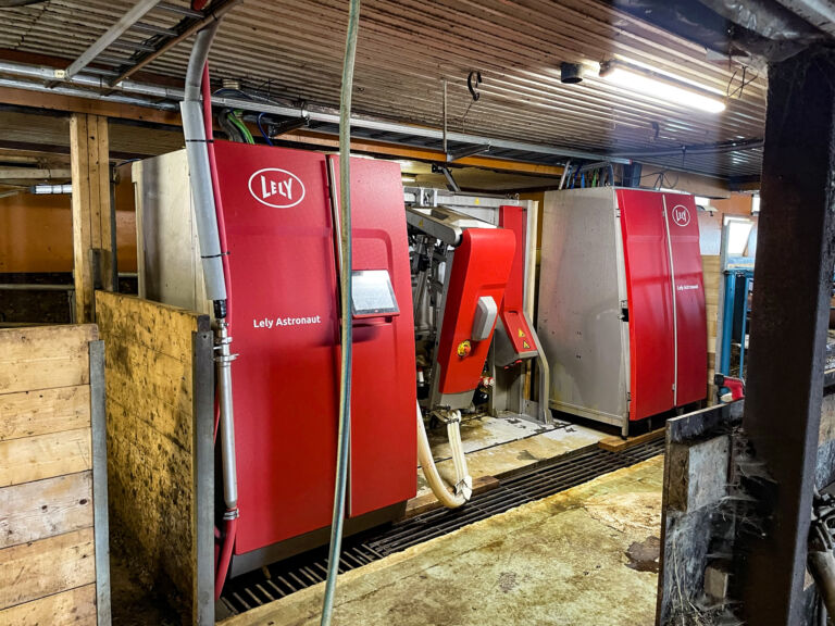 Ny melkerobot på Lillehammer Ny melkerobot på Lillehammer
