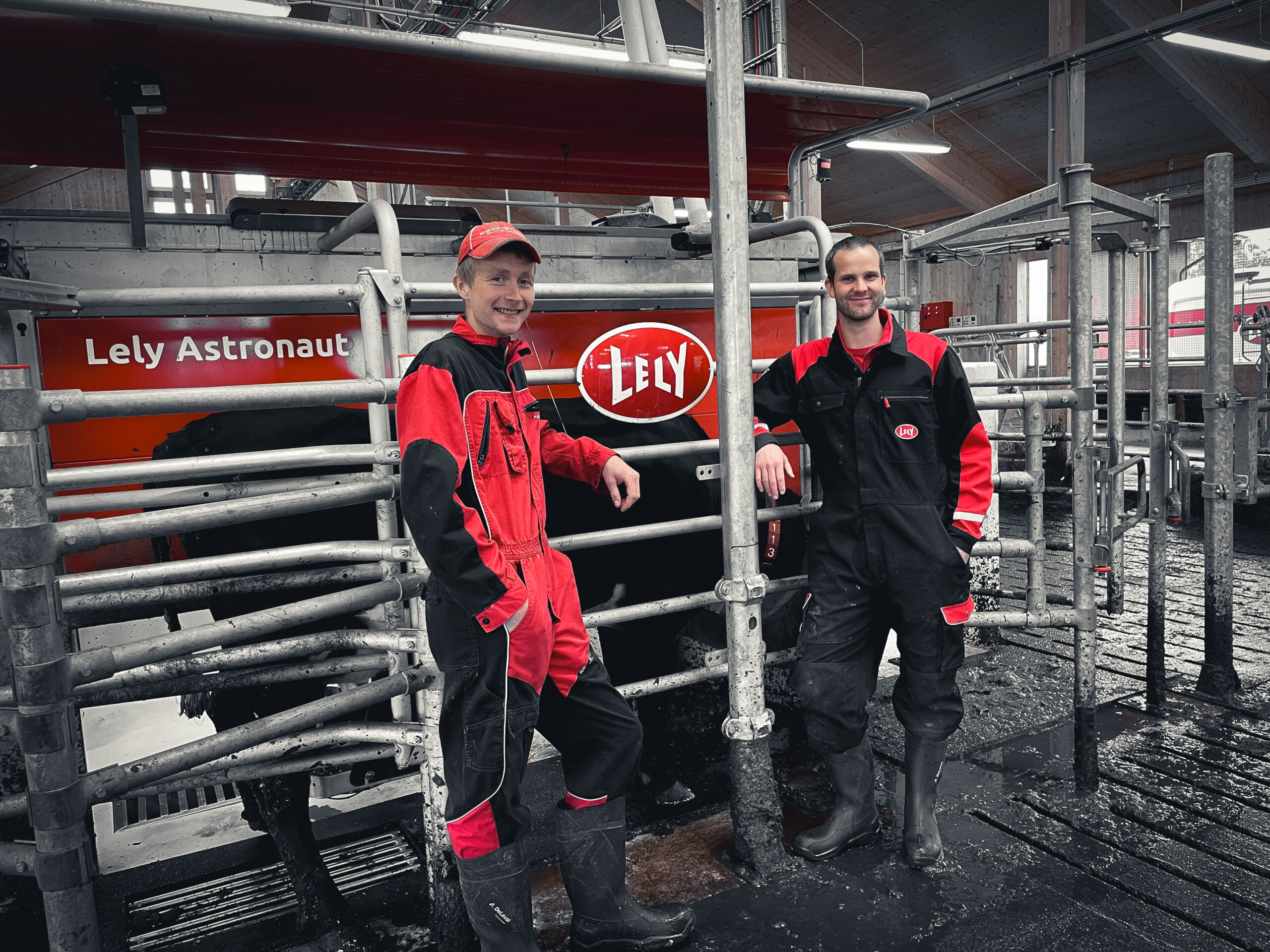 Gjennomgang av melkeanlegg med Lely A5 melkerobot