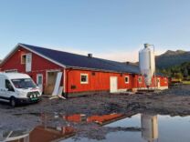 Nytt melkekufjøs i Engavågen, Nordland