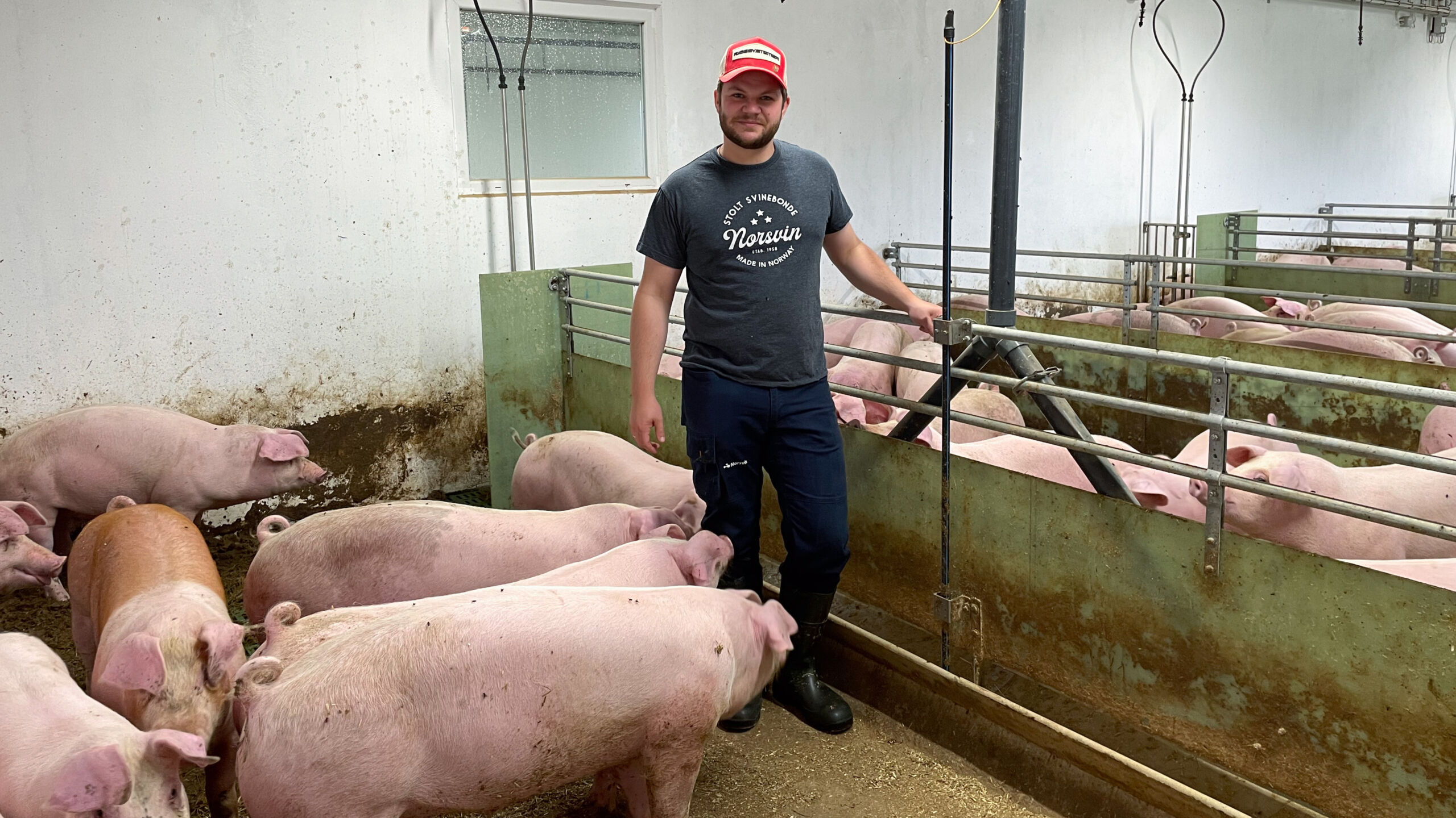 Våtfôring med etetidsstyring