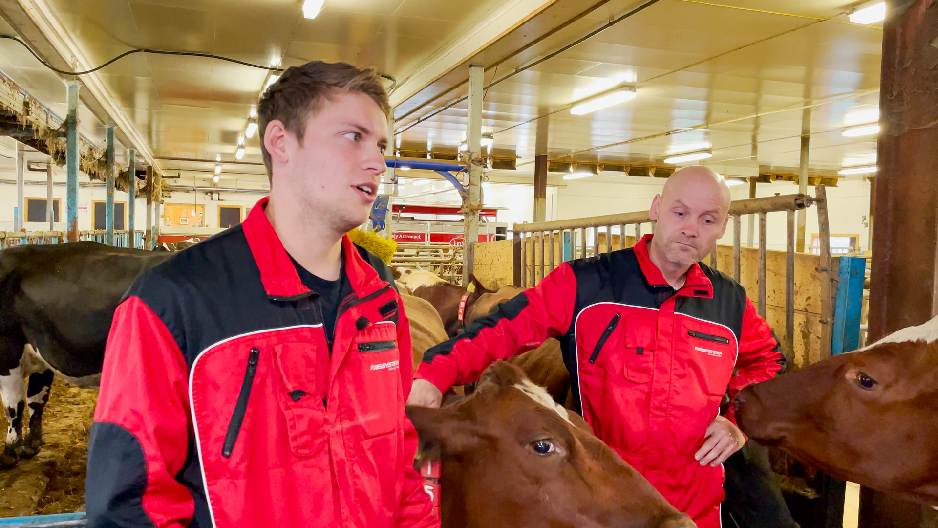 Lettere arbeid med melkerobot i ombyggingsfjøs