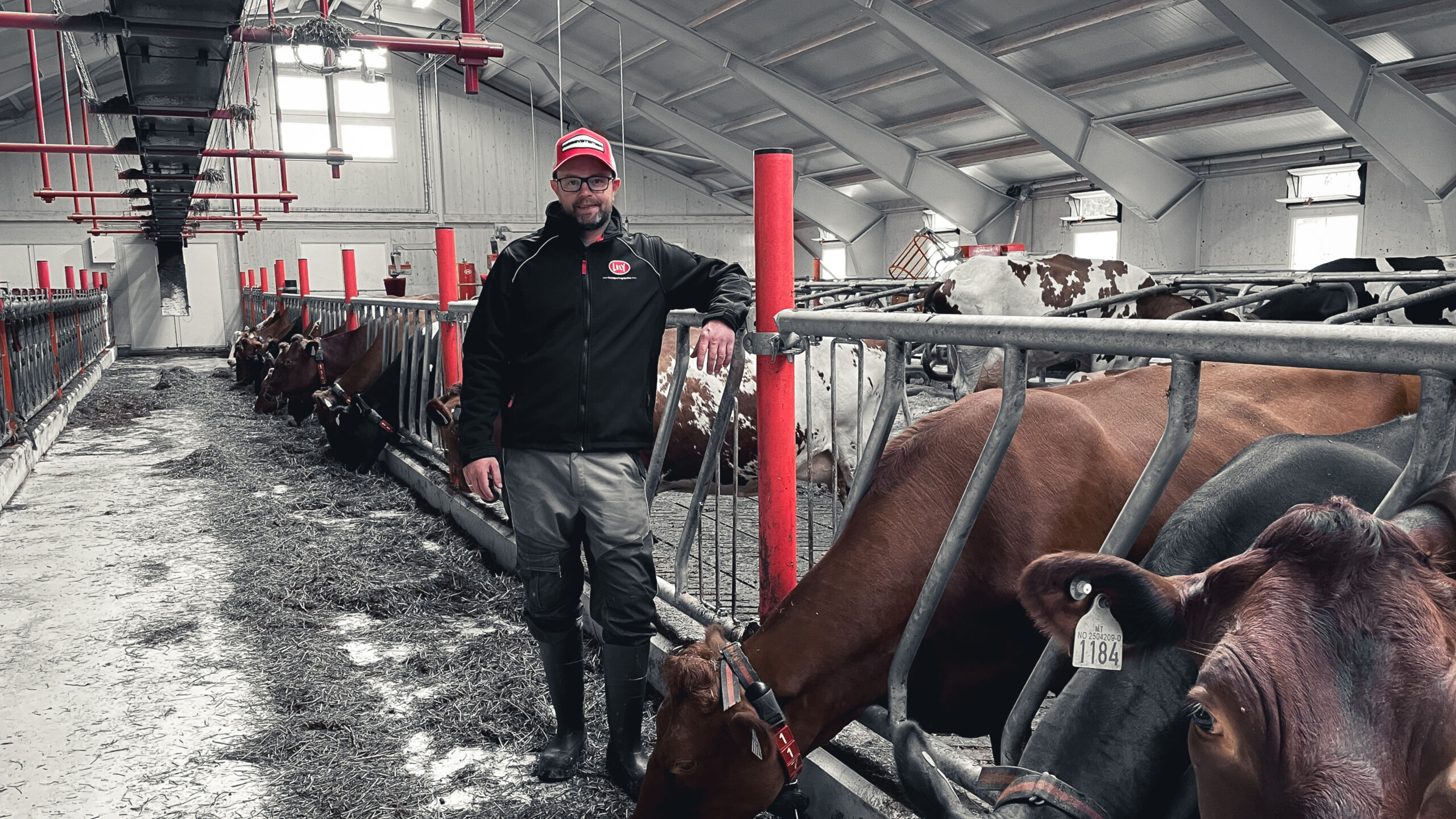 Nytt fjøs hos melkeprodusent Visteroa Samdrift