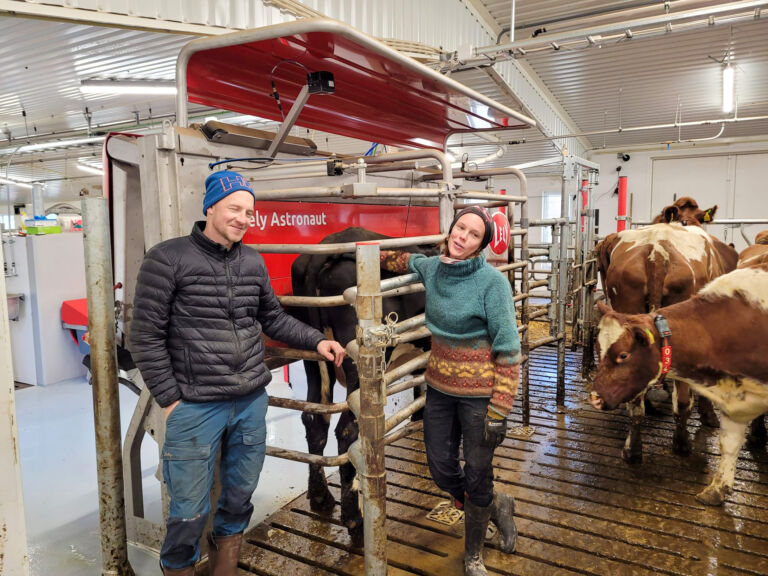 Komplett melkekufjøs i Manndalen Komplett melkekufjøs i Manndalen