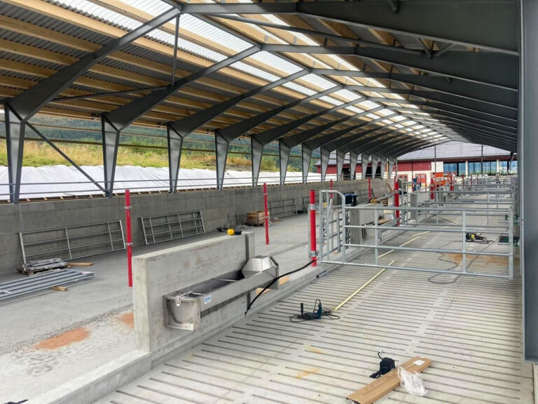 Uisolert ammekufjøs på Kyrksæterøra