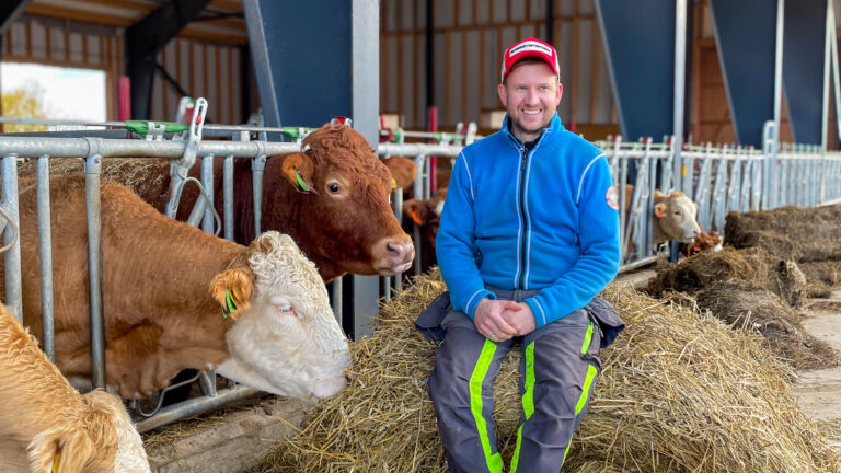 Uisolert ammekufjøs ved Mjøsa Uisolert ammekufjøs ved Mjøsa