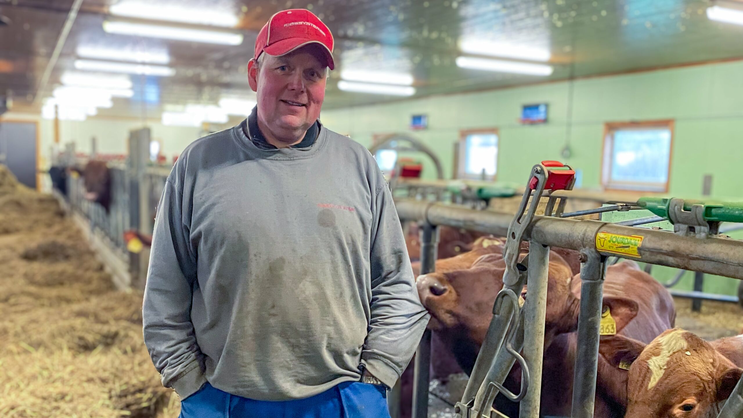 Fra båsfjøs til fremtidens landbruk i Gudbrandsdalen