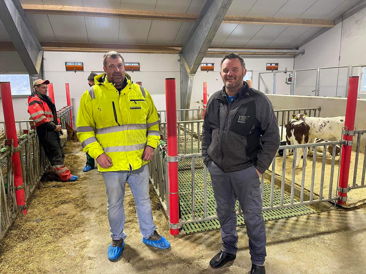 Fjøs med naturlig ventilasjon i Bjerkreim