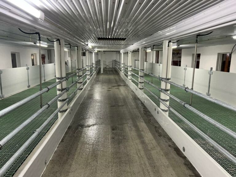 Suksess med oppgradering til nytt sauehus