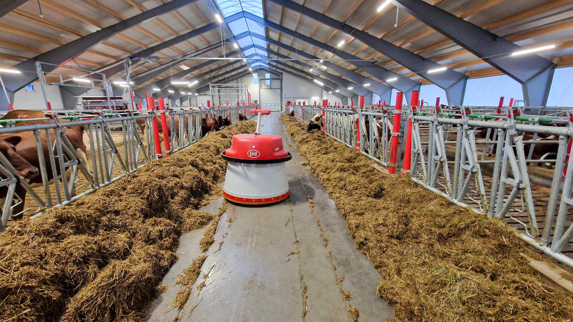 «Live-life-Lely» i Snåsa