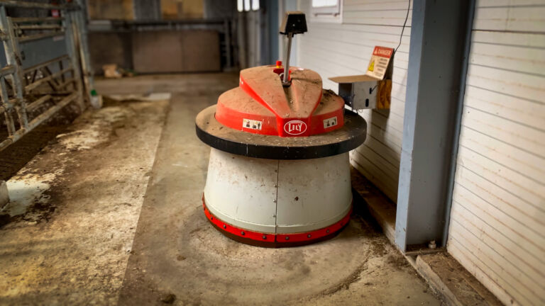 Kampanje: Lely Juno – automatisk fôrskyving Kampanje: Lely Juno – automatisk fôrskyving