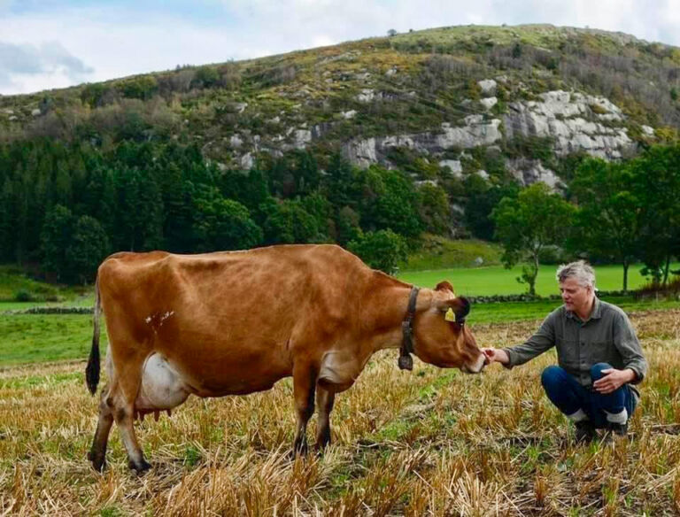 Jæren og Jersey Jæren og Jersey