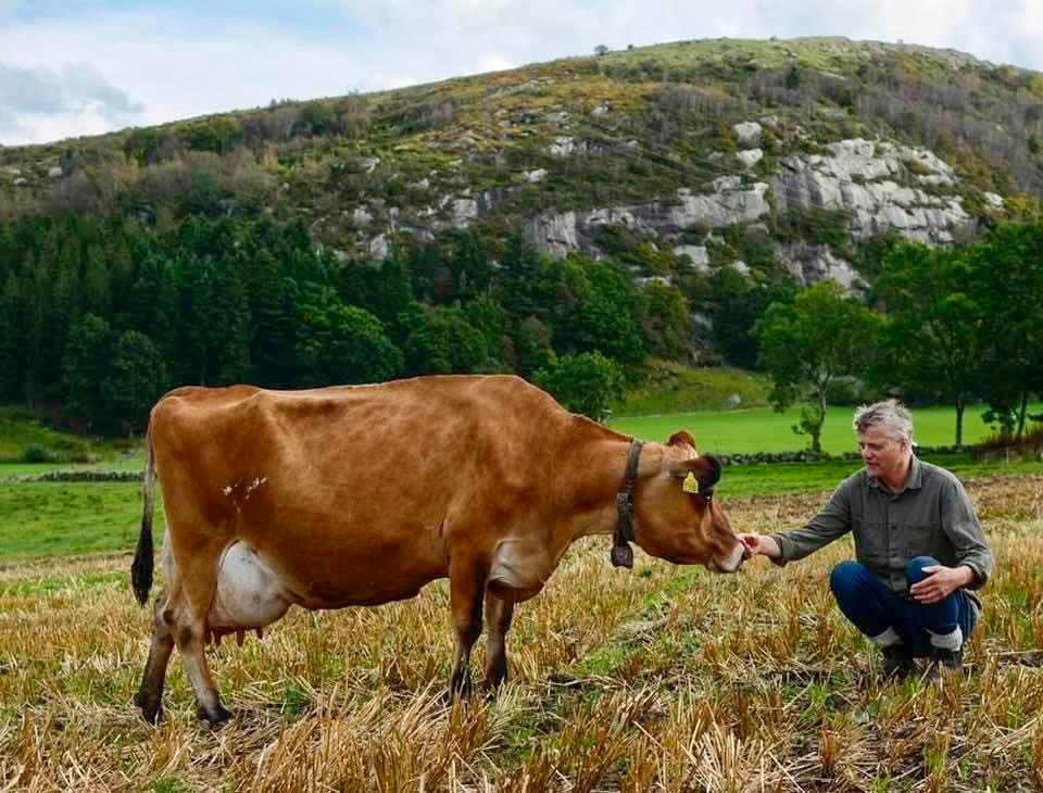 Jæren og Jersey Jæren og Jersey