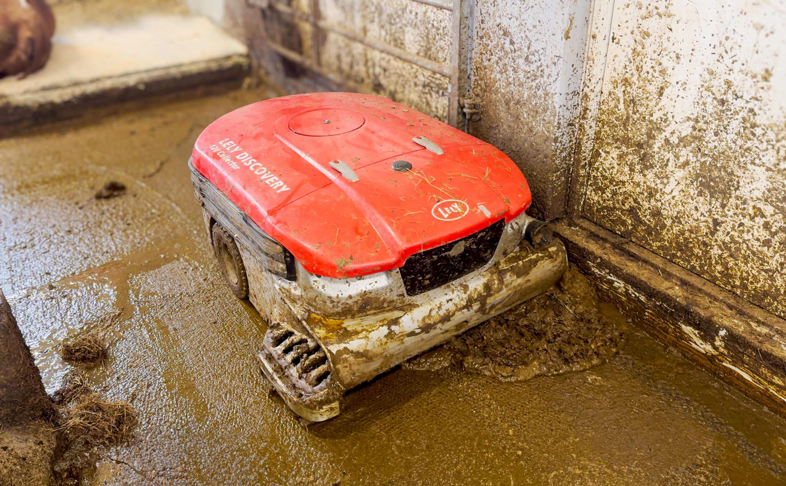 Lely Discovery Collector: Digital støvsuger til fjøset!