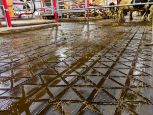 ZigZag gummimatte hos Magne Landrø og May Rita Olsen. Lensvik, 2025