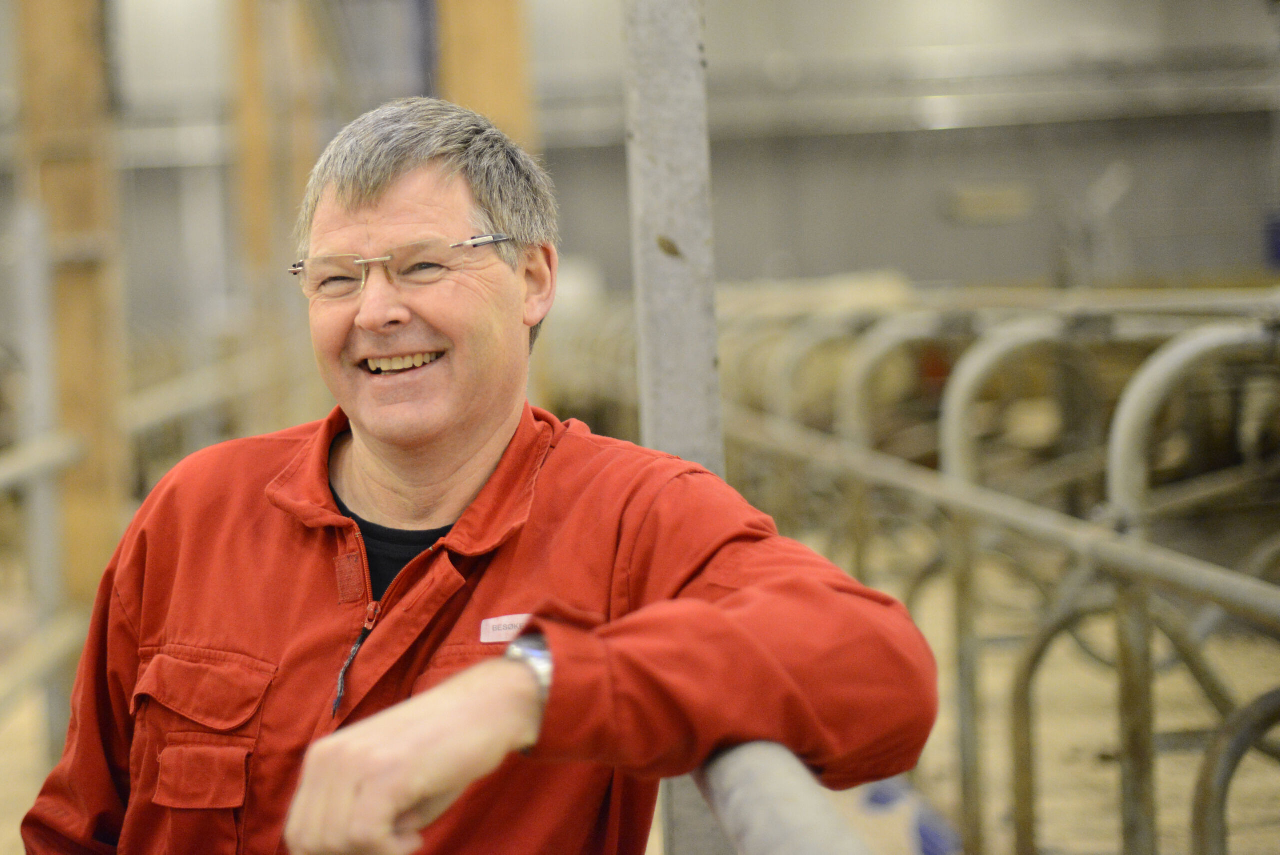 Harald Volden om sinkufôring og (subklinisk) ketose