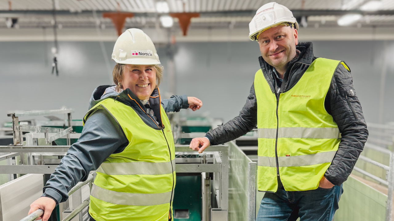 Åpningsfest hos Norsvin Delta på Løten, juni 2024