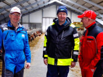 Harald Volden om grovfôrproduksjon, fra planlegging til høsting