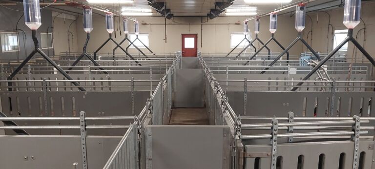 Fra slaktegrisbesetning til FTS kombinert besetning!