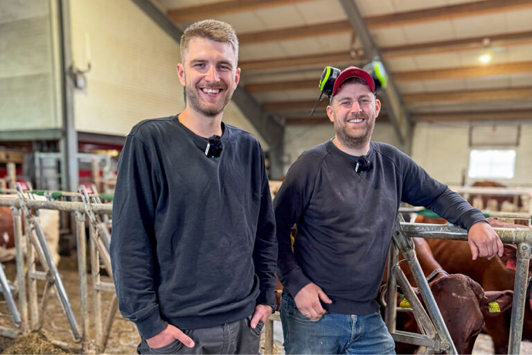 Brødrene som satset på melkerobot