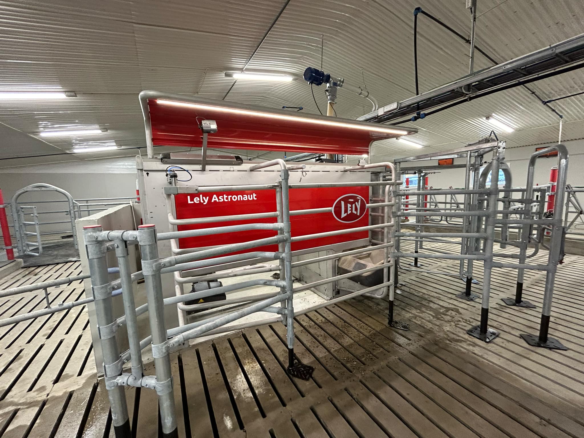 Vi bygger ut melkekufjøs i Glåmos