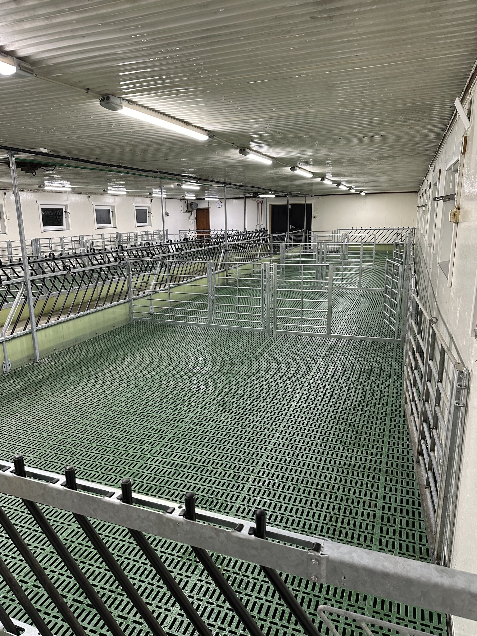 Ombygging av båsfjøs til moderne sauefjøs