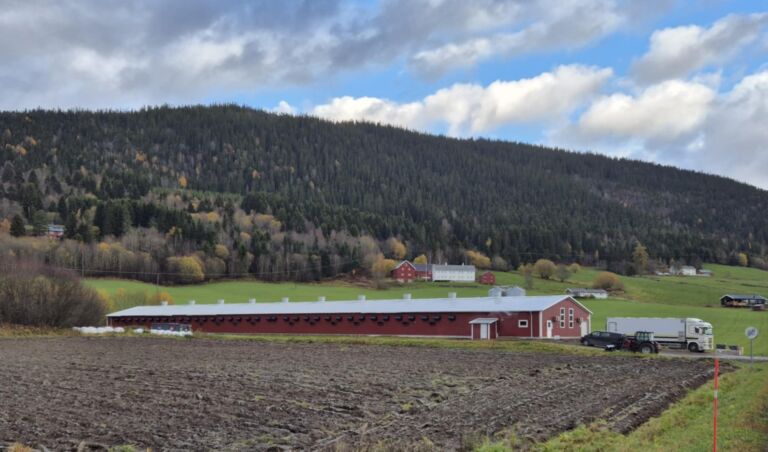 Ny avdeling for Trøndelag Kyllingoppdrett i Beitstad Ny avdeling for Trøndelag Kyllingoppdrett i Beitstad