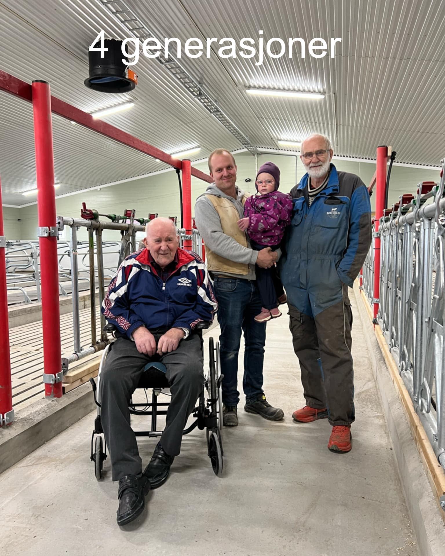 Ammekufjøs på Lesja