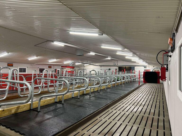 Fra båsfjøs til fôringsliggebås på Kvikne Fra båsfjøs til fôringsliggebås på Kvikne
