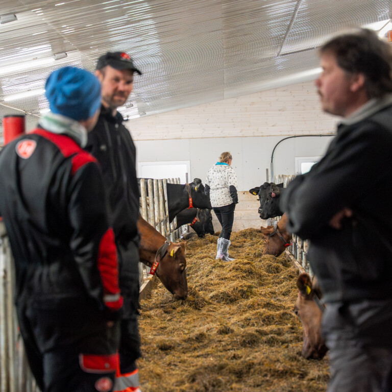 Bonden og dyrenes førstevalg