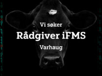 Vi søker Rådgiver Team iFMS