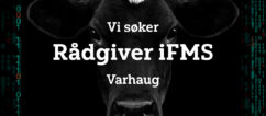 Vi søker Rådgiver Team iFMS